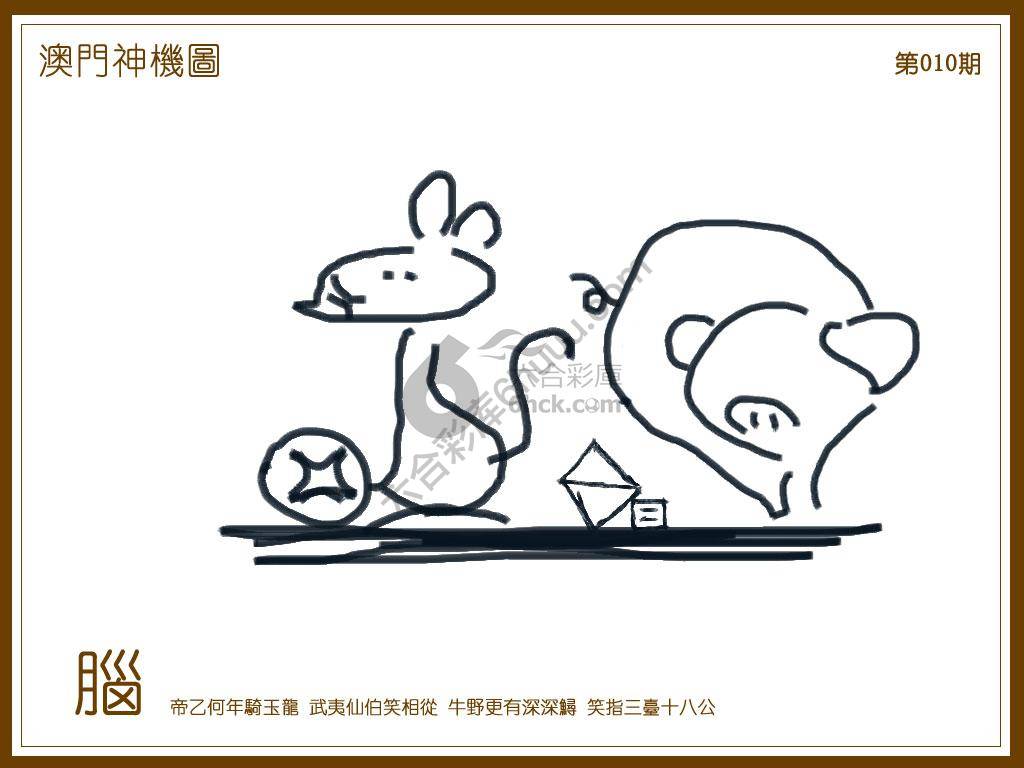 澳门神机图
