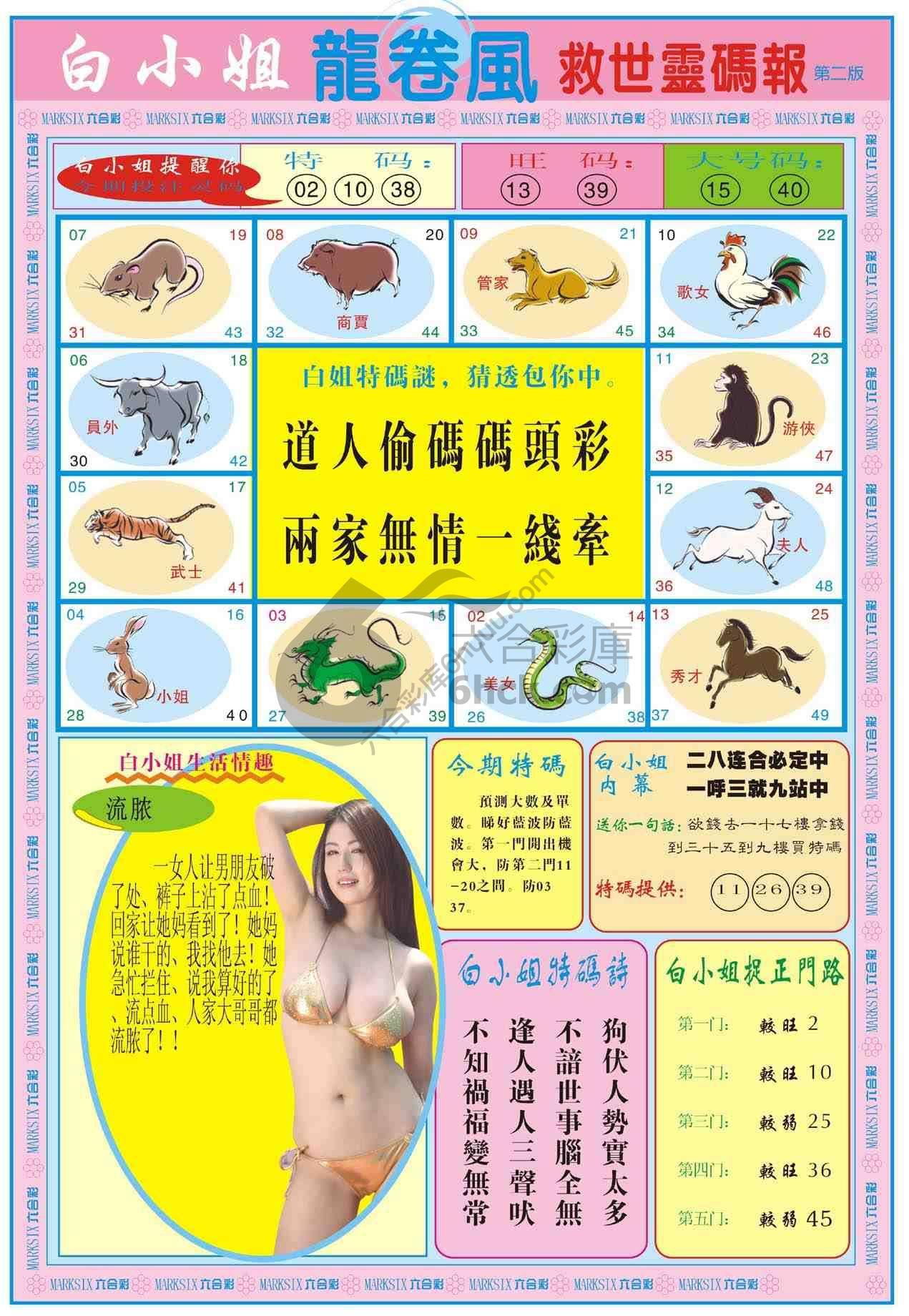 白小姐救世灵码报