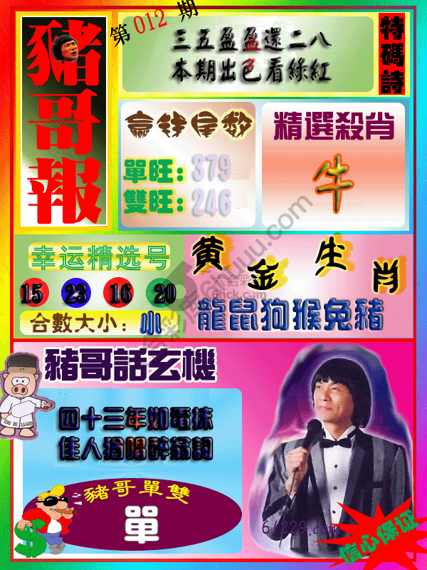 猪哥报