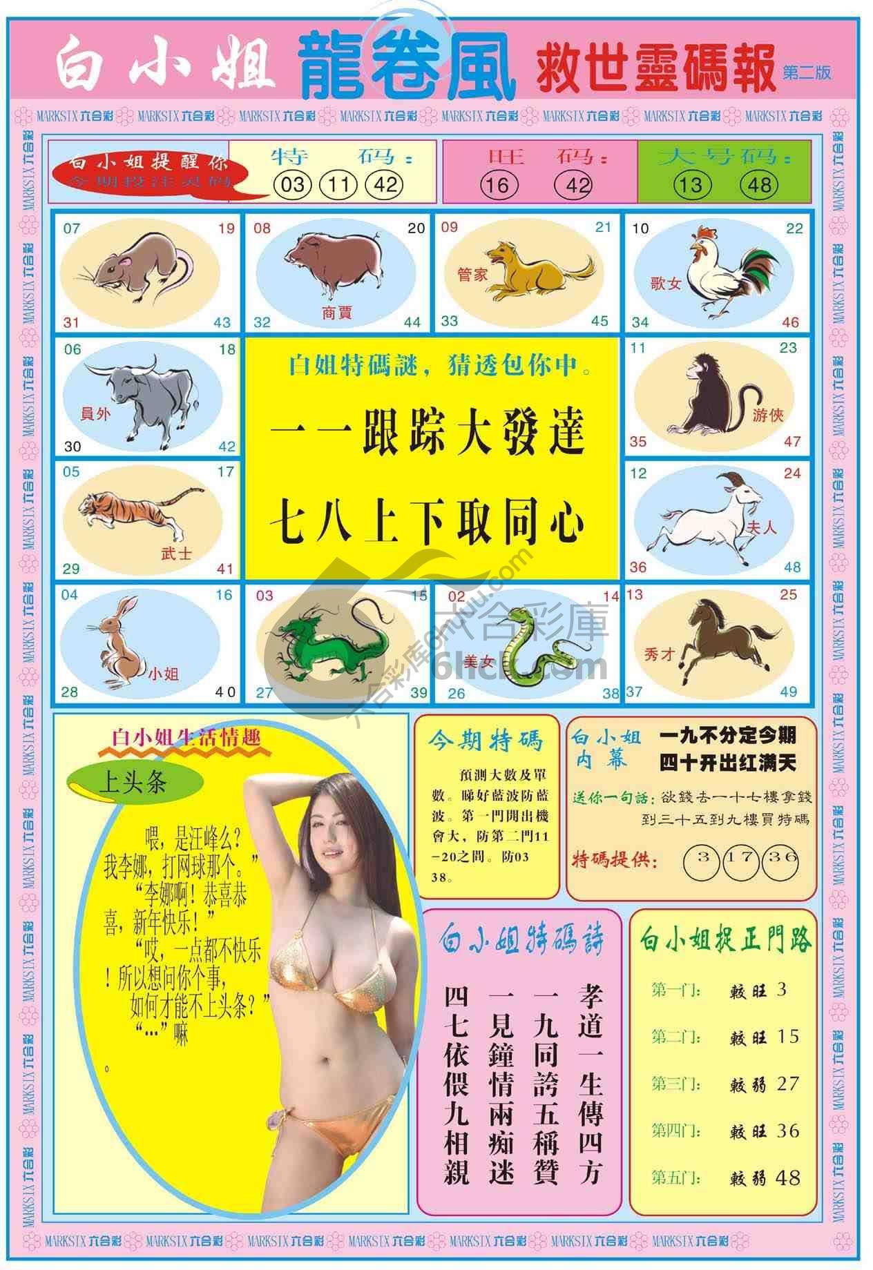 白小姐救世灵码报