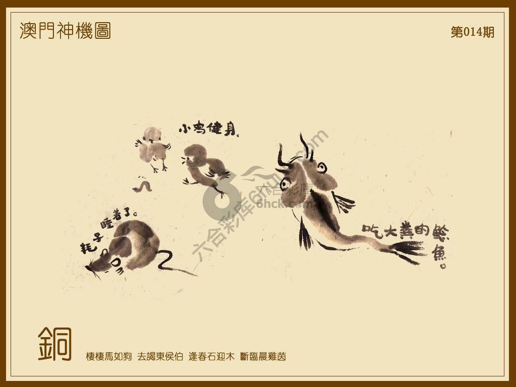 澳门神机图