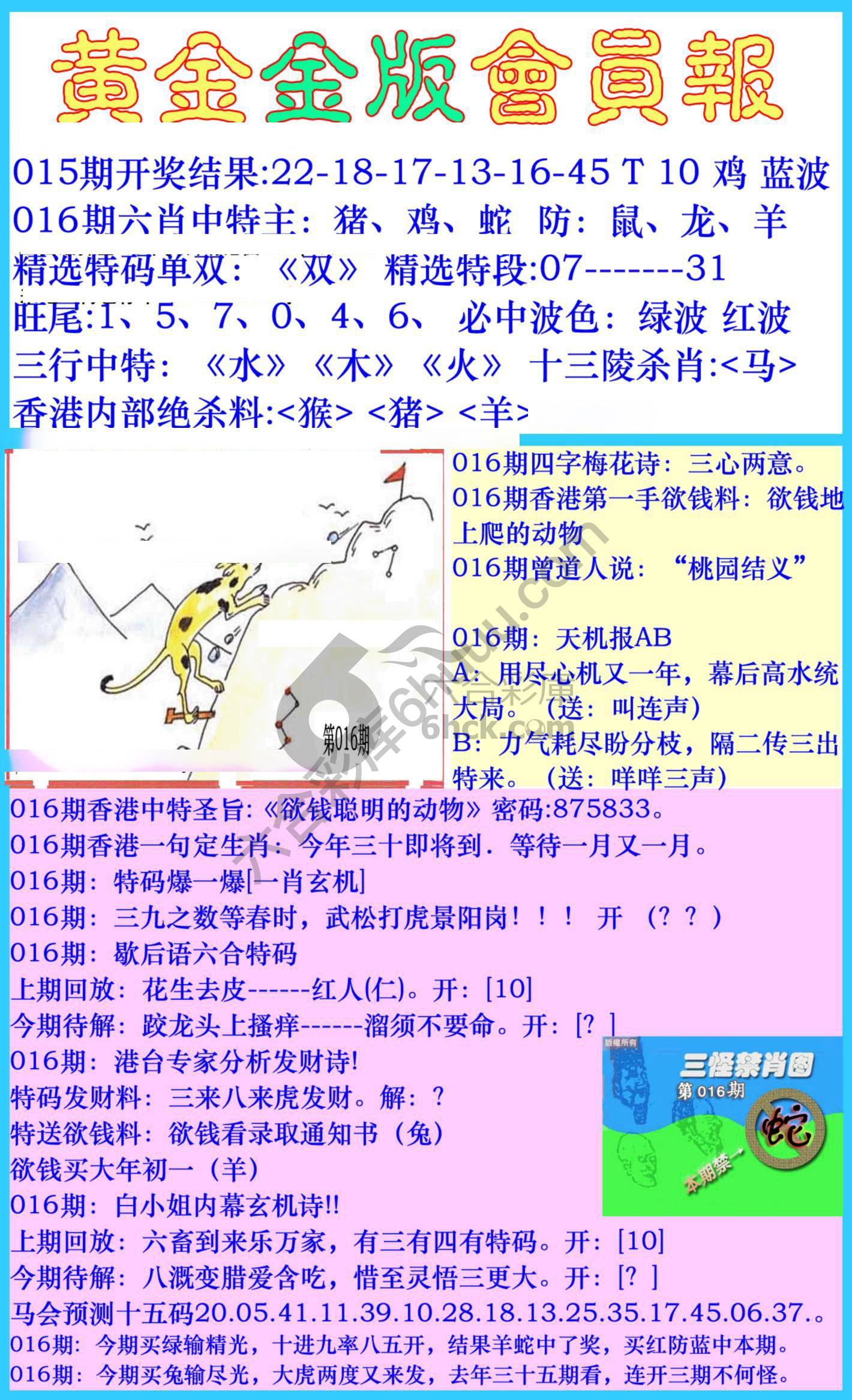 黄金金版会员报