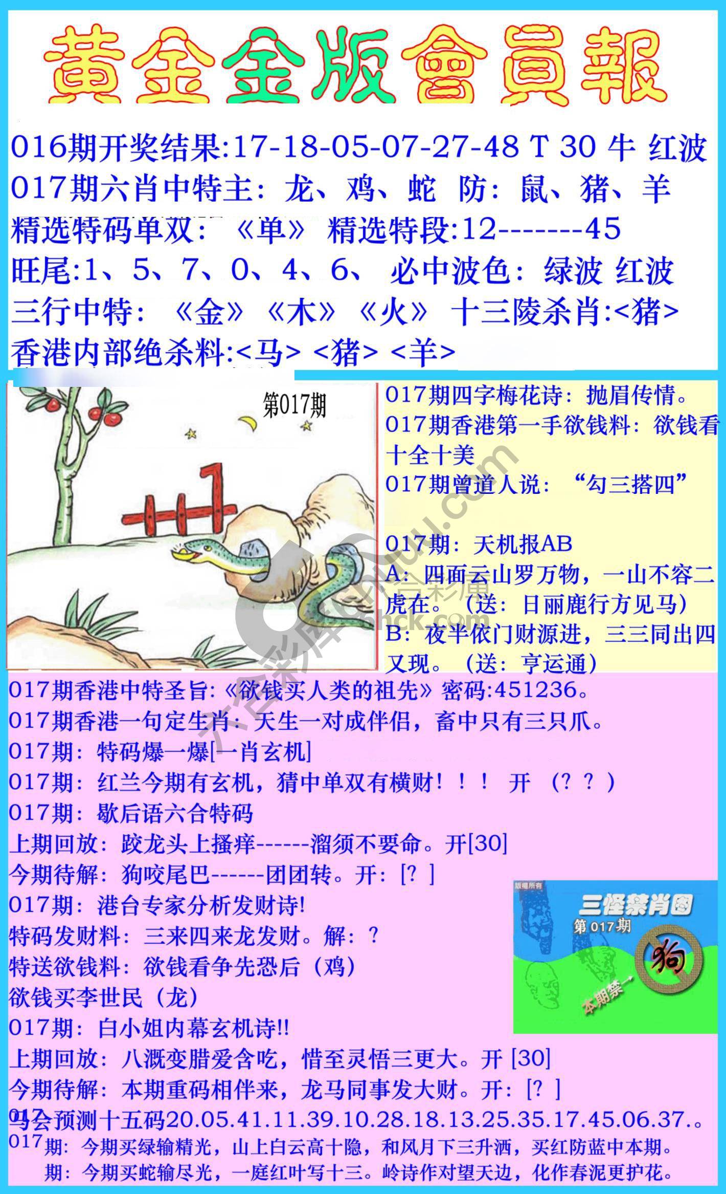 黄金金版会员报