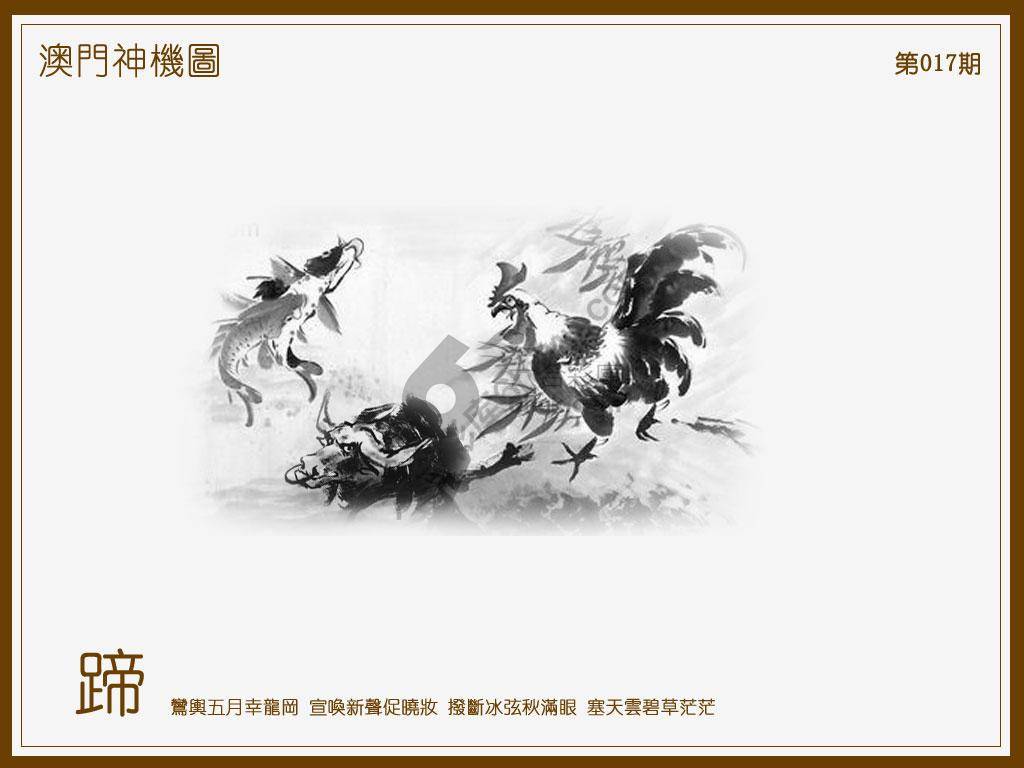 澳门神机图