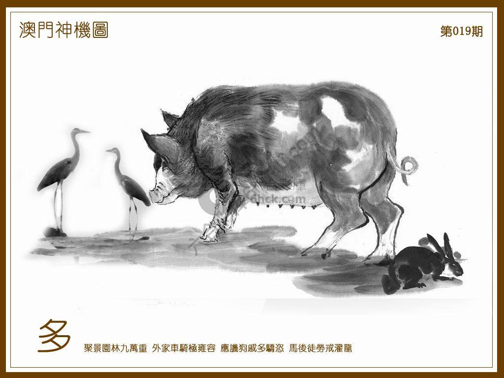 澳门神机图