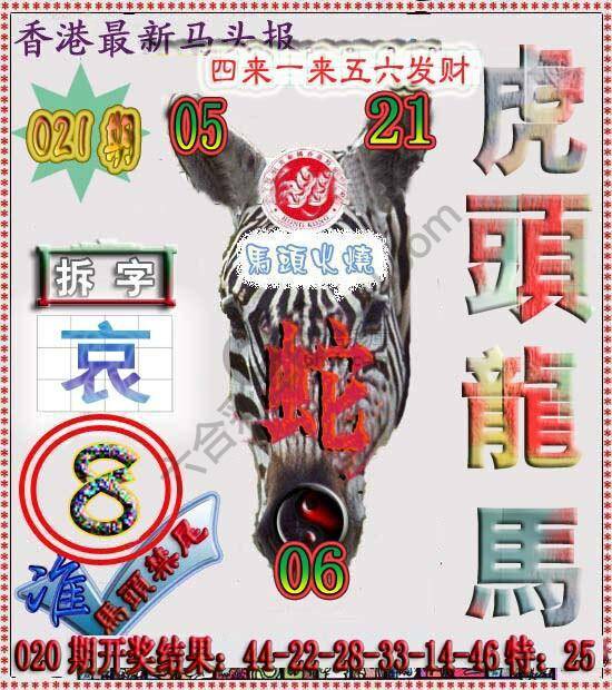 香港马头报