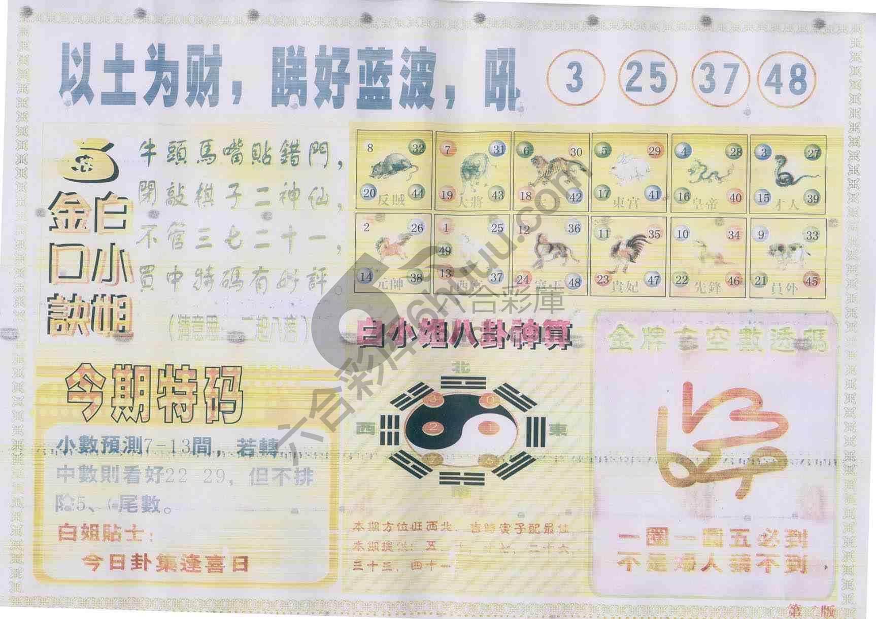 白姐内幕