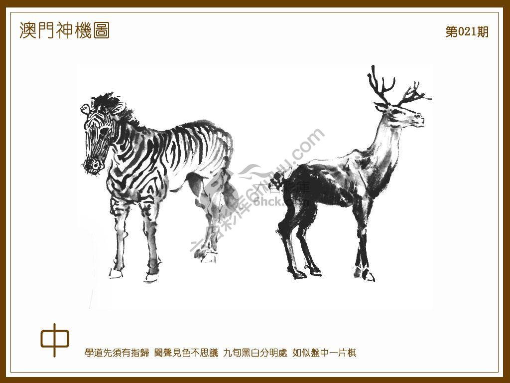 澳门神机图