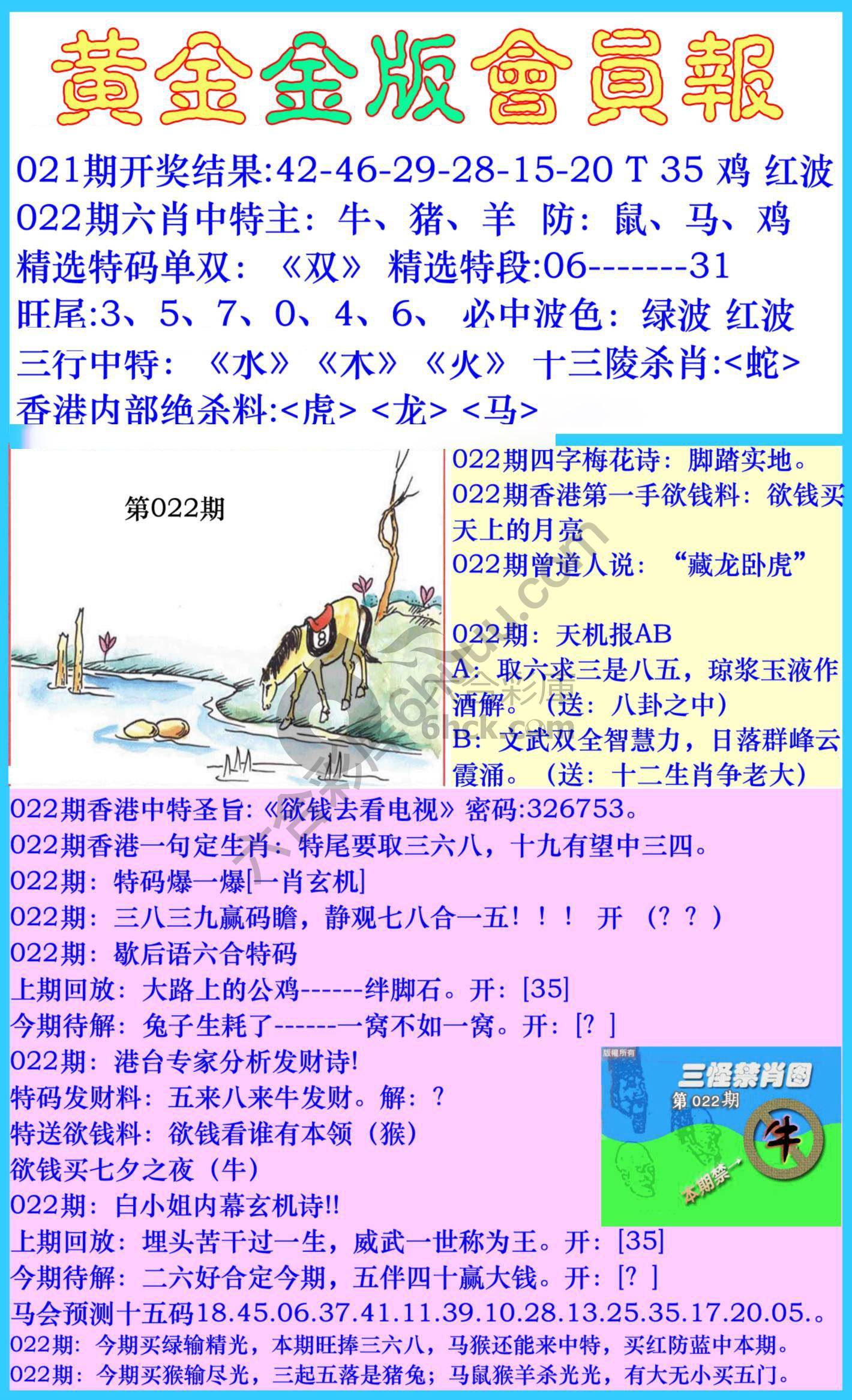 黄金金版会员报