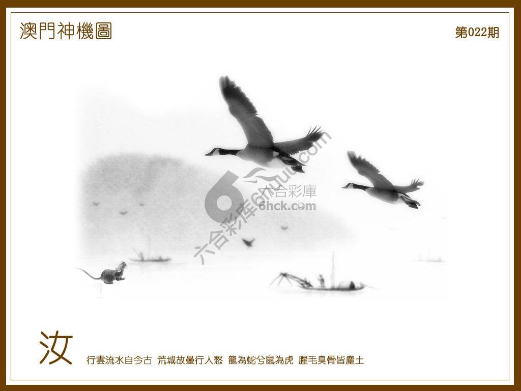 澳门神机图