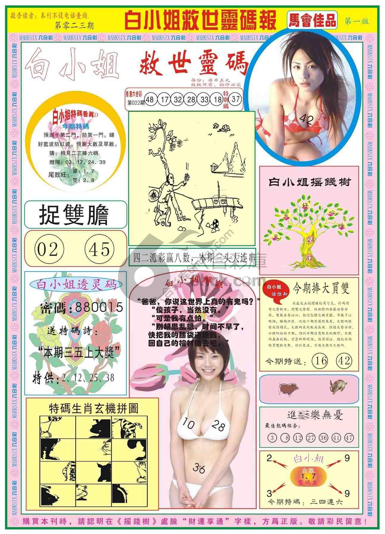 白小姐救世灵码报