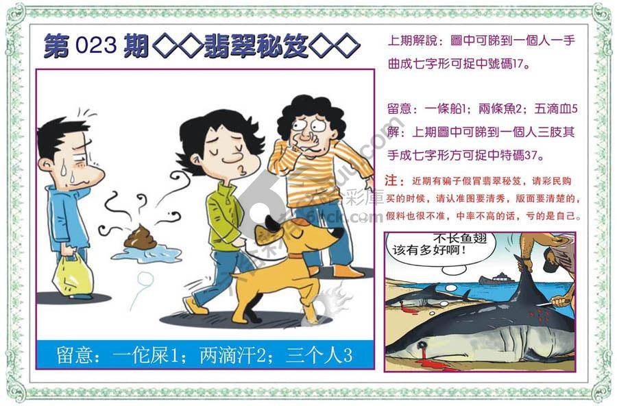 富婆翡翠秘籍图
