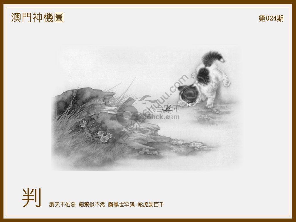 澳门神机图