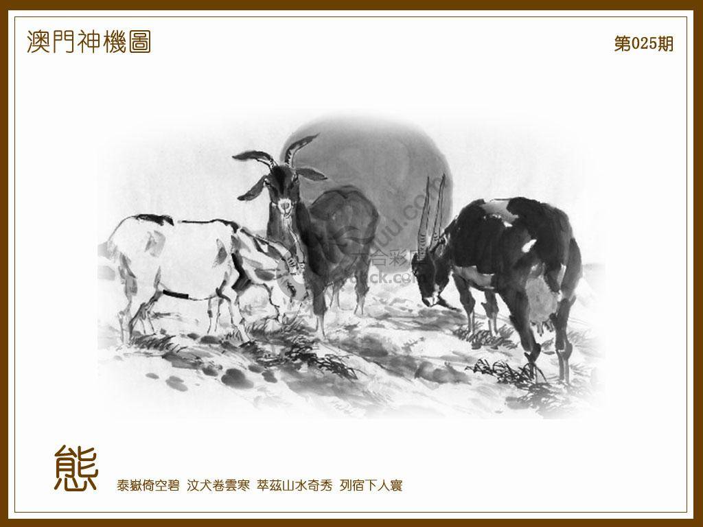 澳门神机图