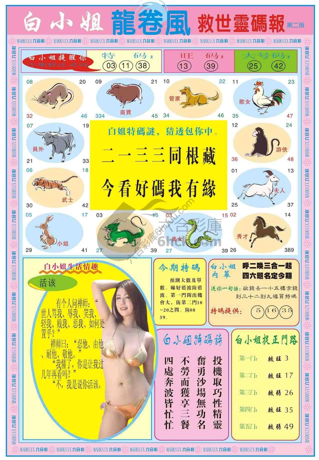 白小姐救世灵码报