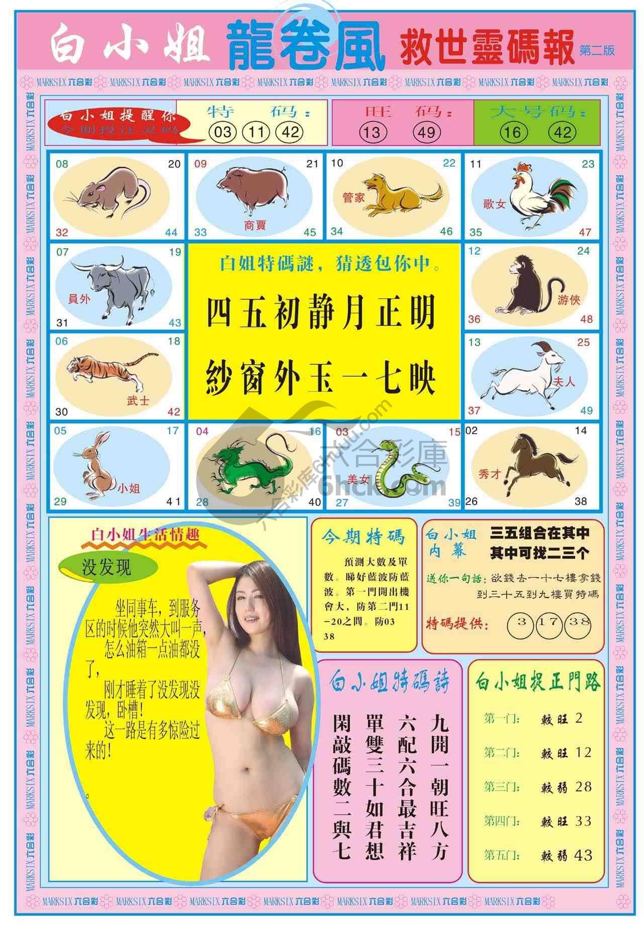 白小姐救世灵码报