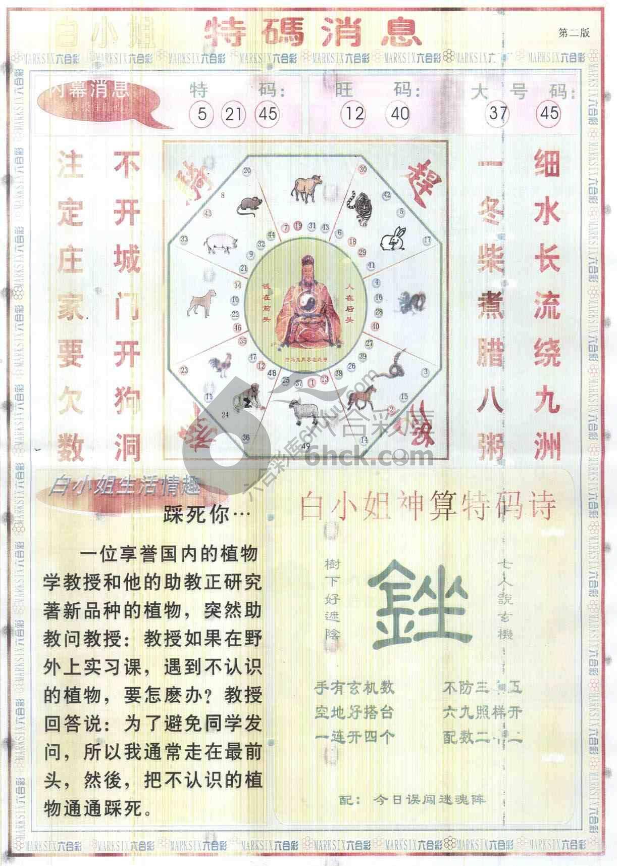 白小姐特码消息