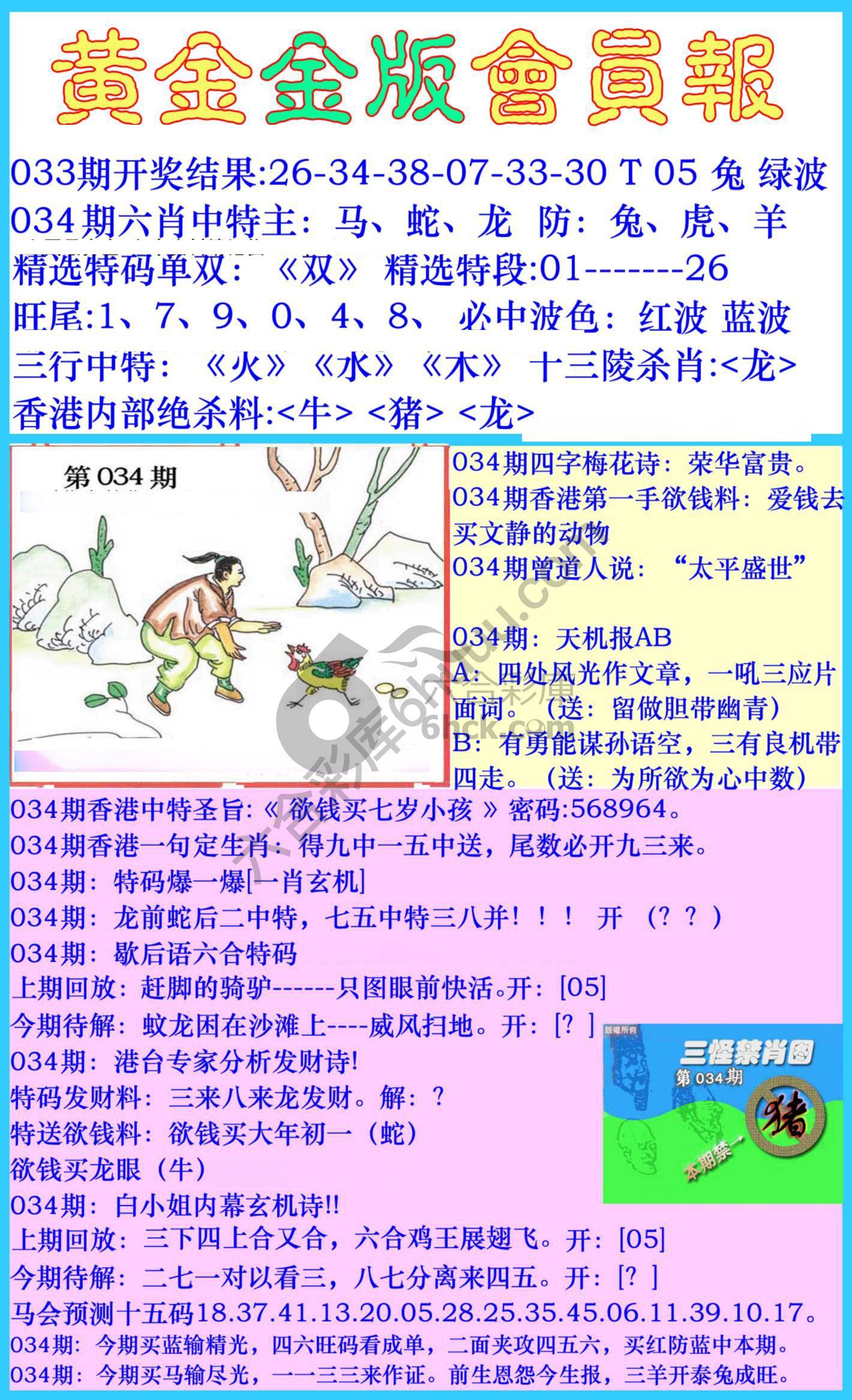 黄金金版会员报