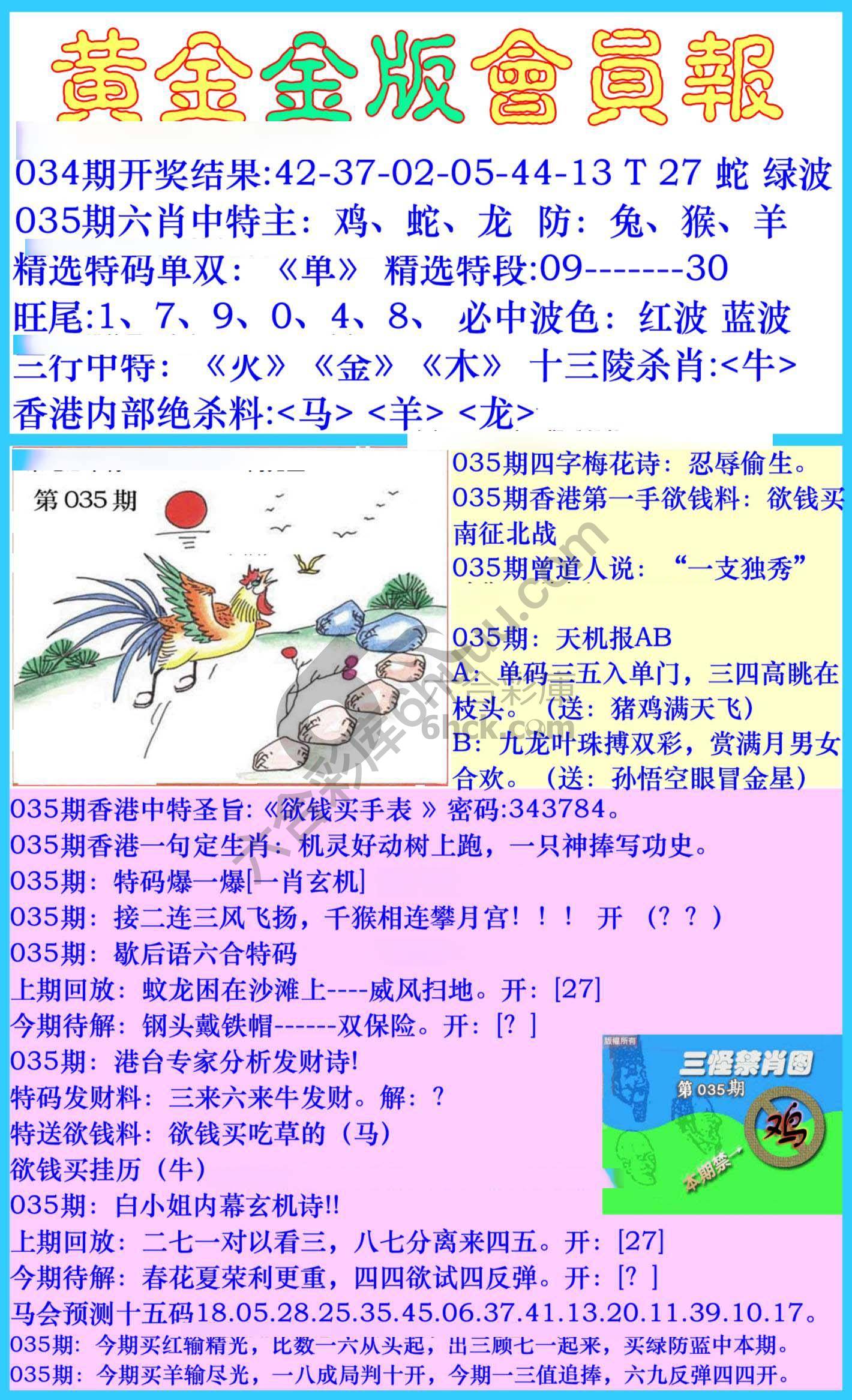 黄金金版会员报