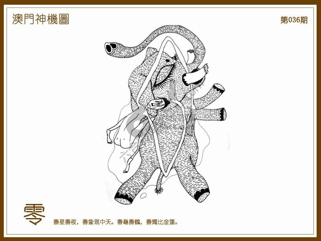 澳门神机图