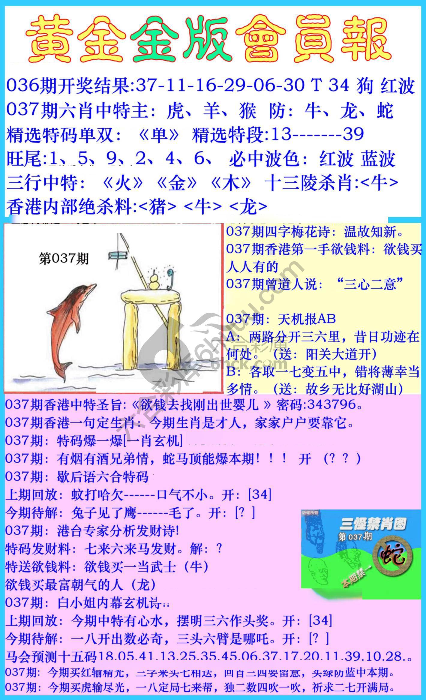 黄金金版会员报