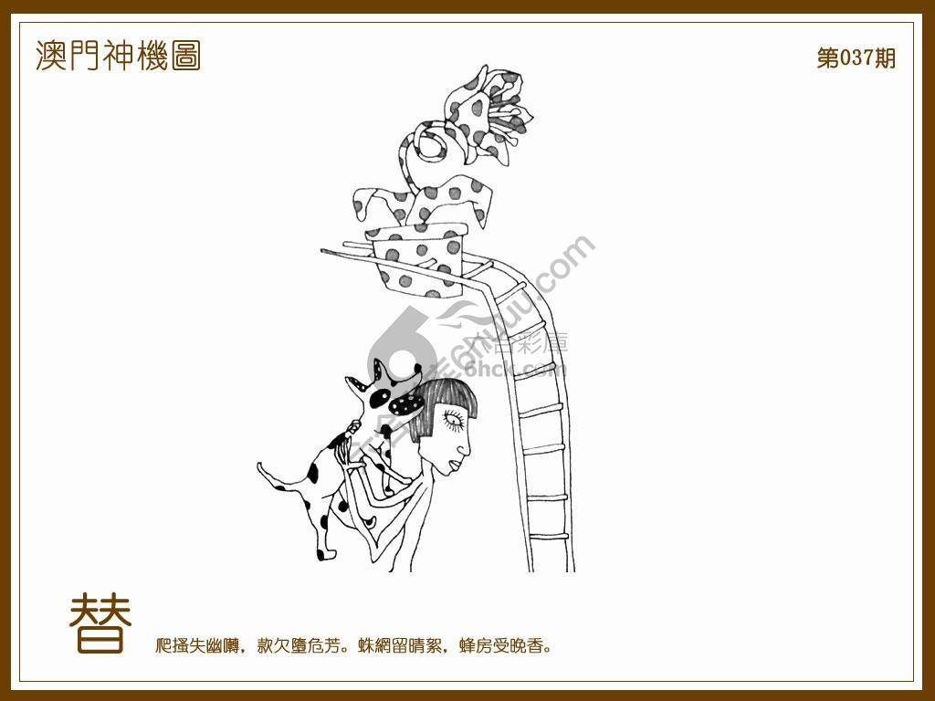 澳门神机图