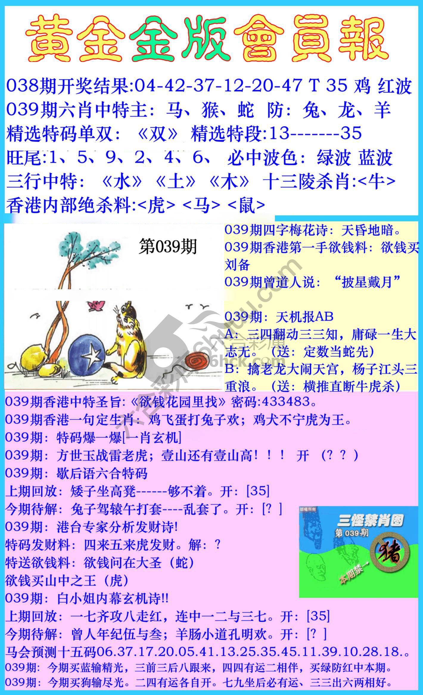 黄金金版会员报