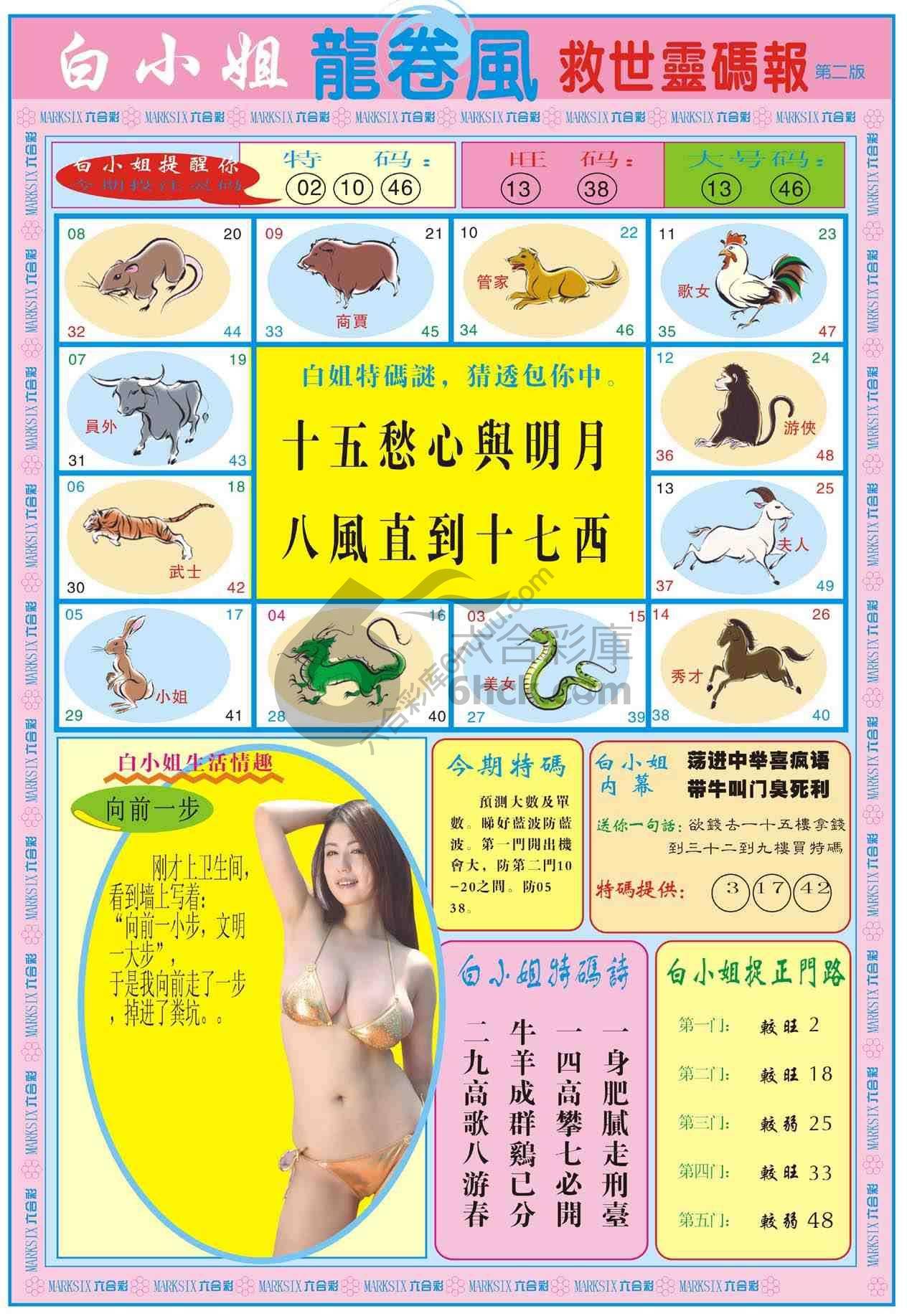 白小姐救世灵码报