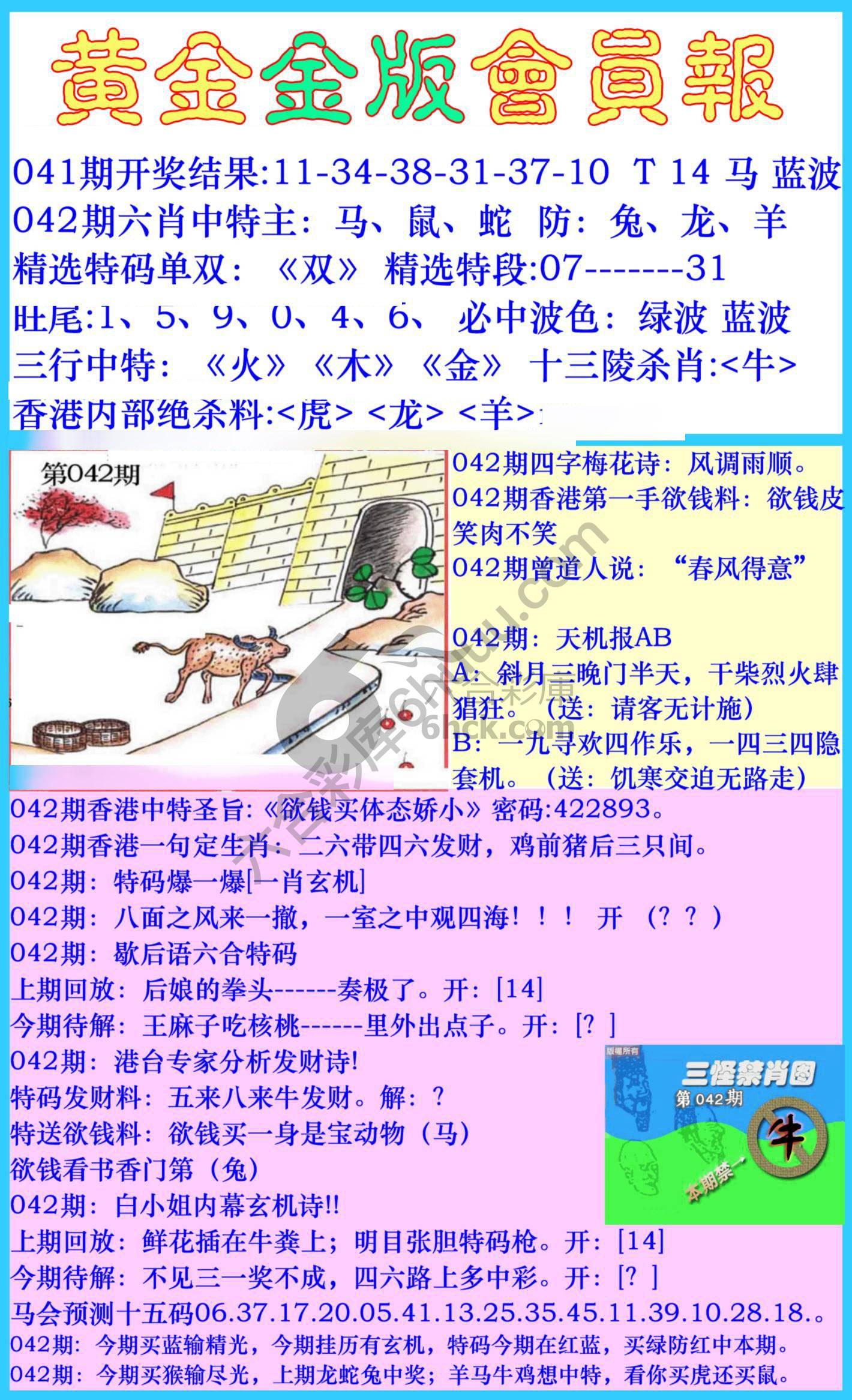 黄金金版会员报