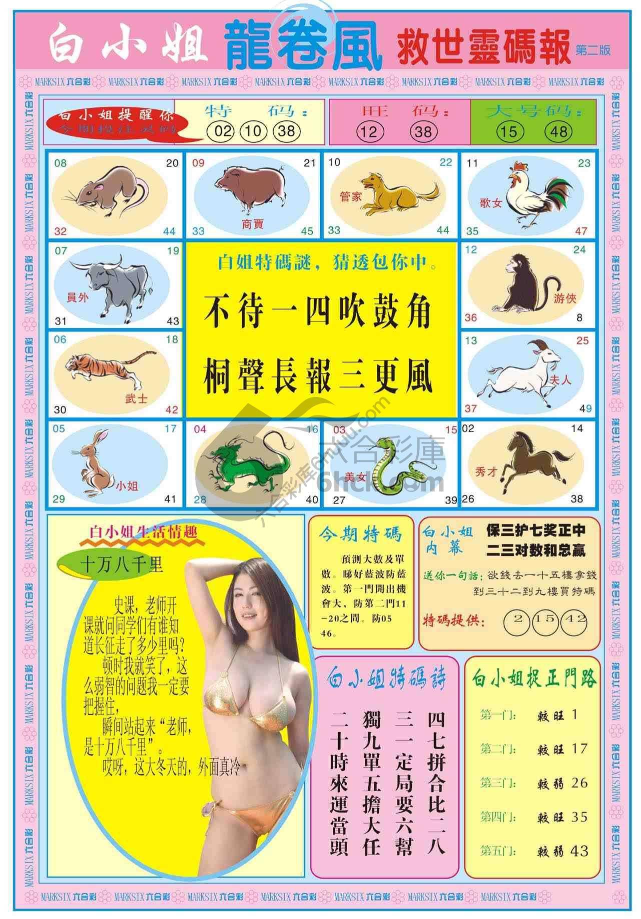 白小姐救世灵码报