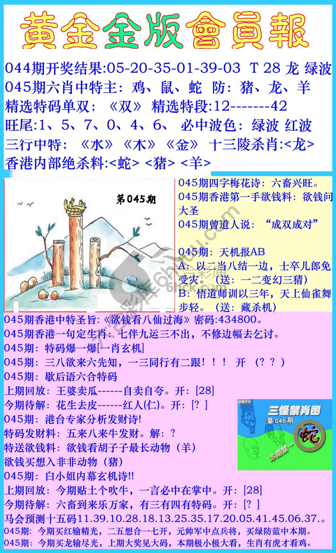 黄金金版会员报
