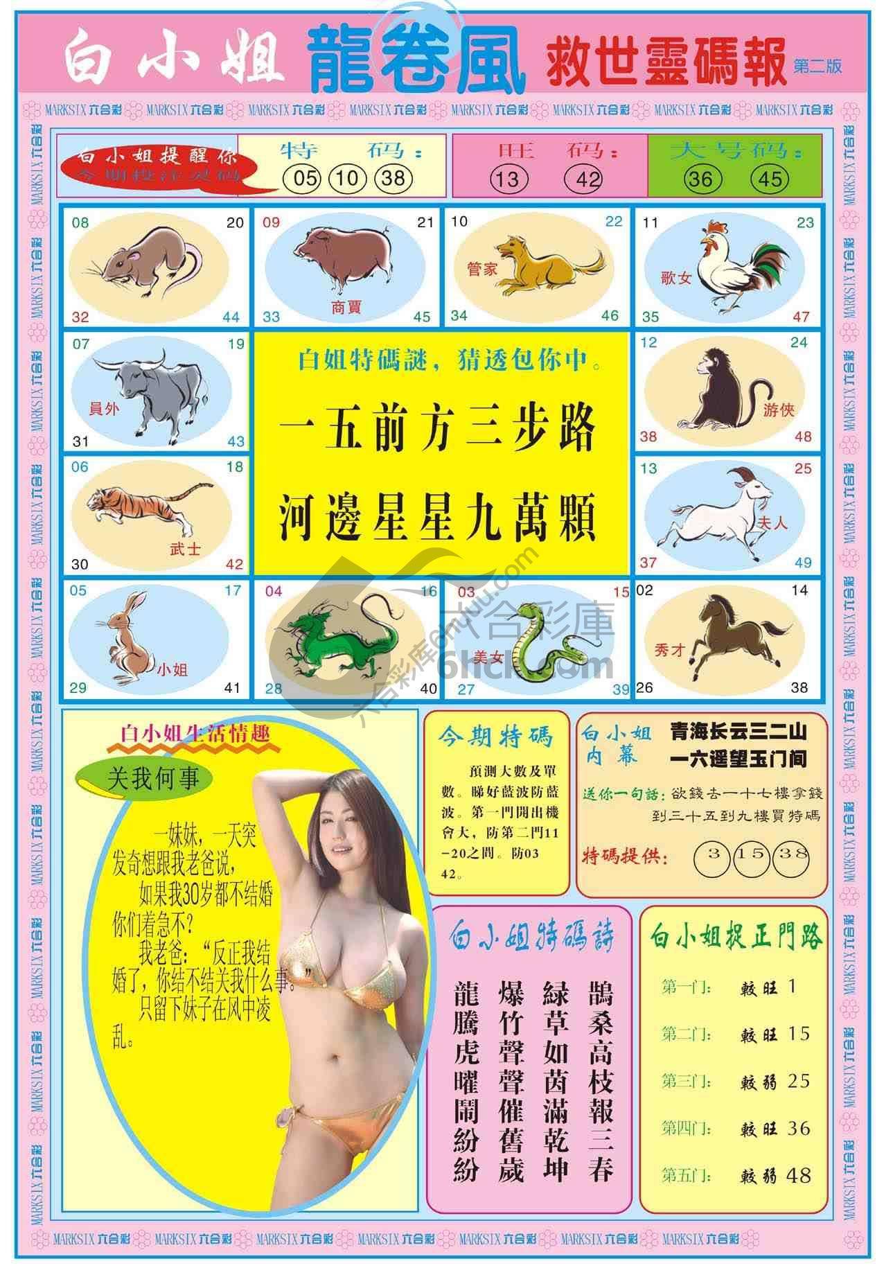 白小姐救世灵码报