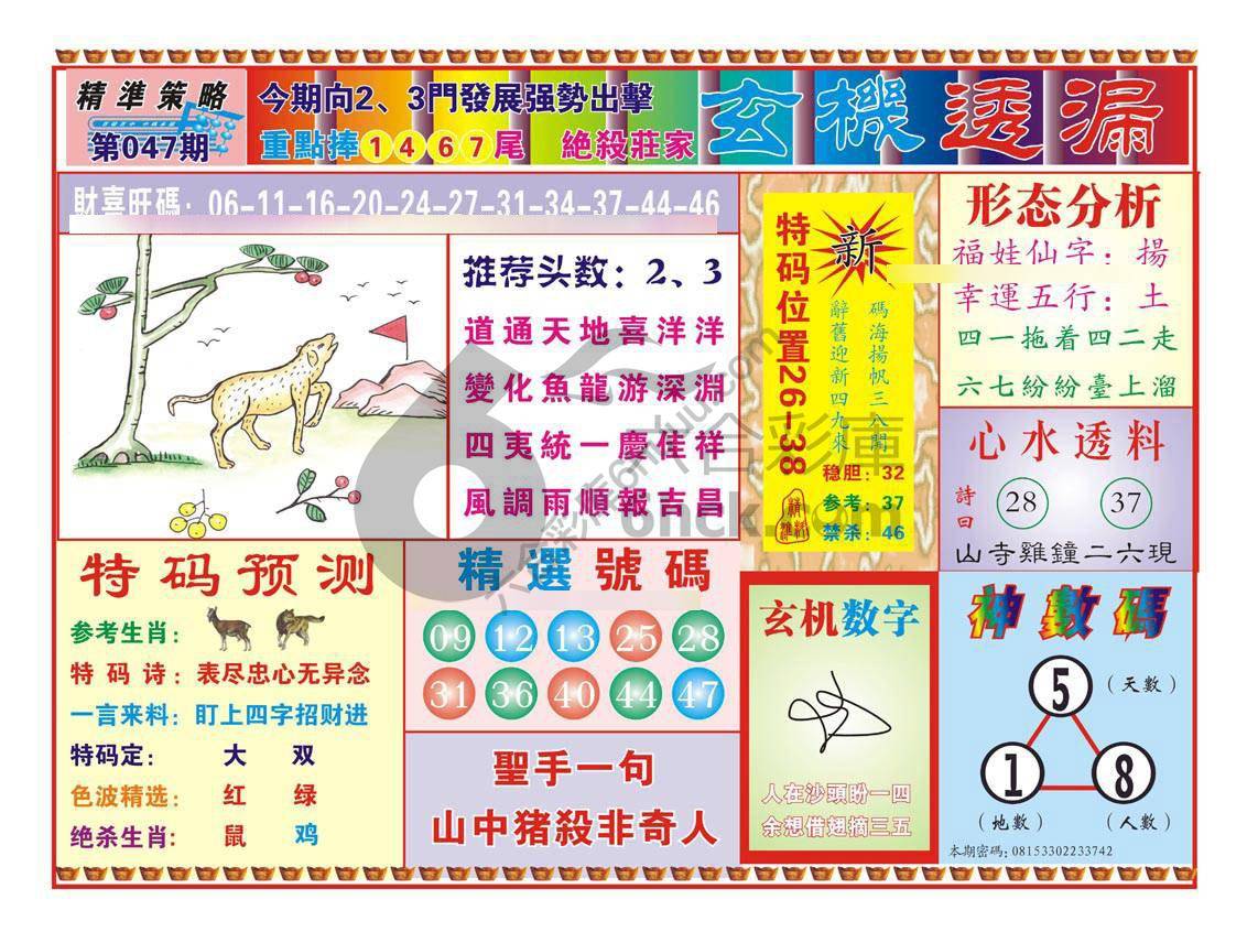 玄机透漏