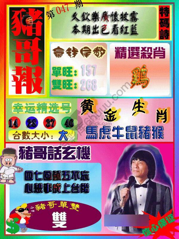 猪哥报