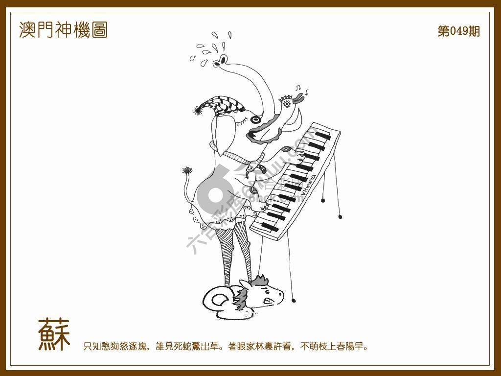 澳门神机图