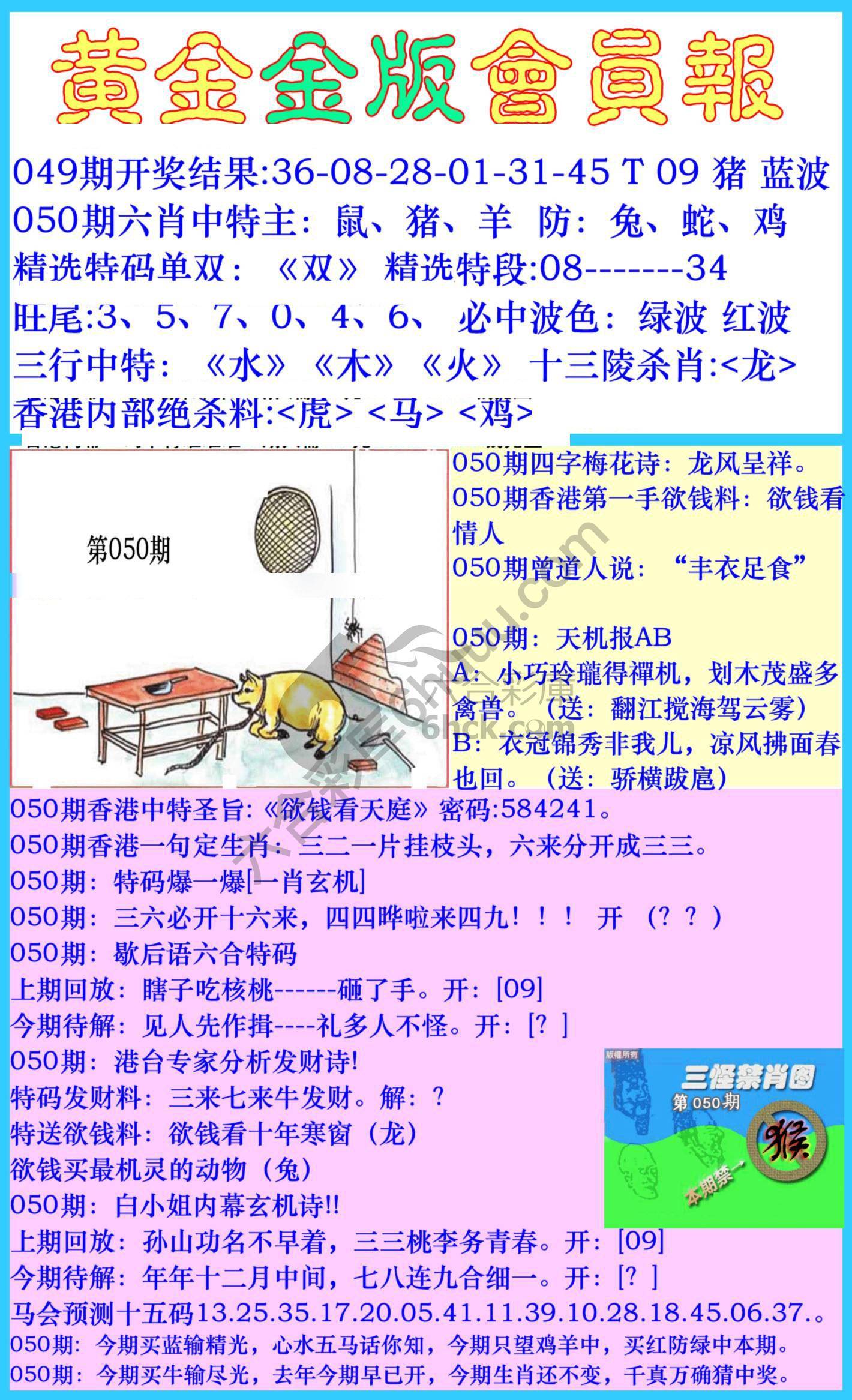 黄金金版会员报