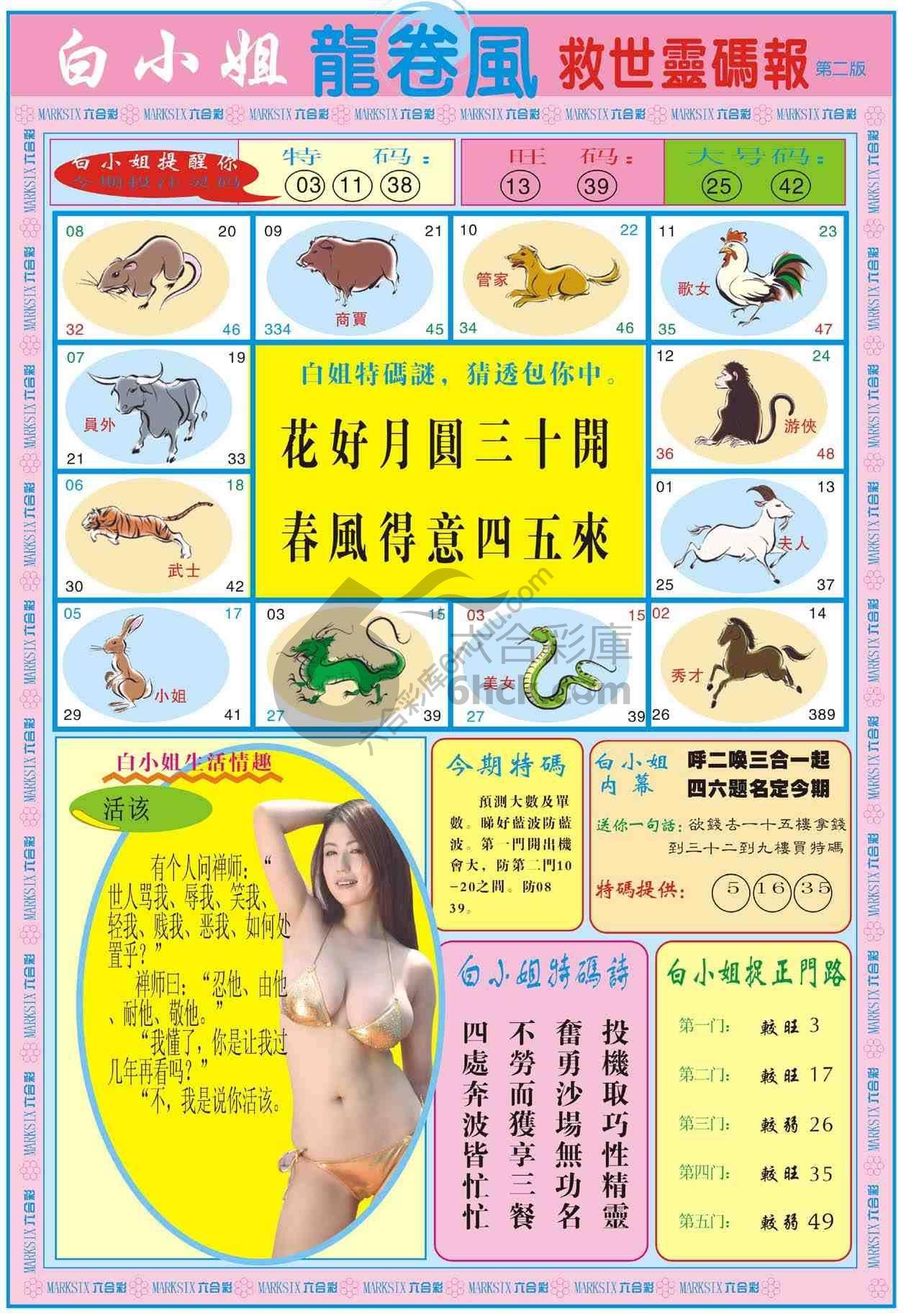 白小姐救世灵码报