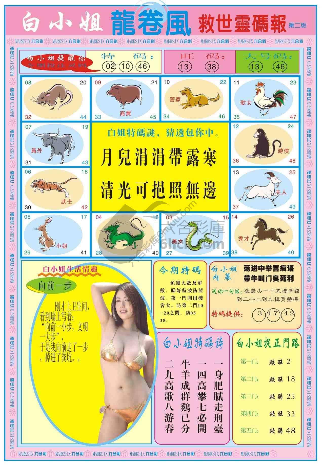 白小姐救世灵码报