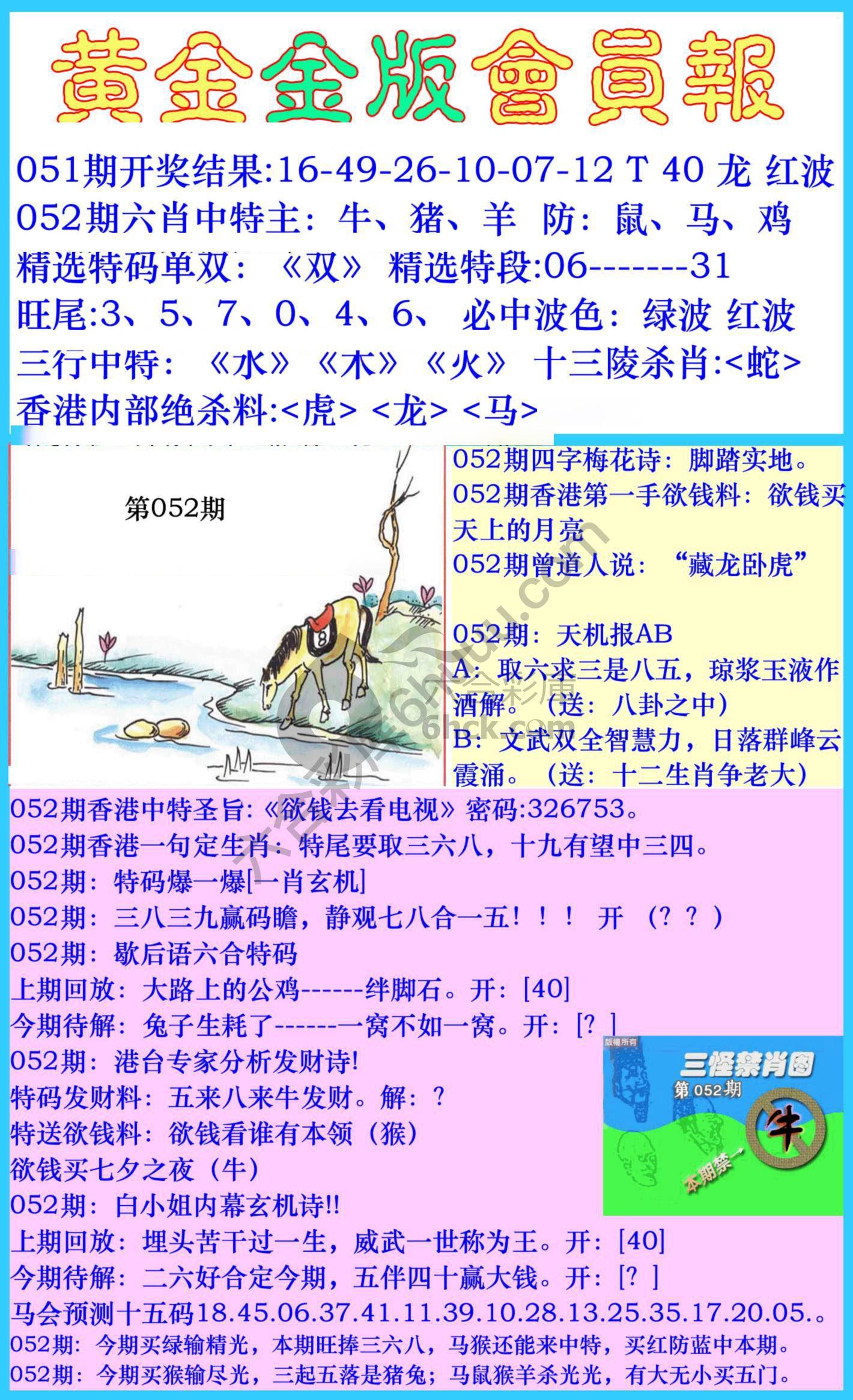黄金金版会员报