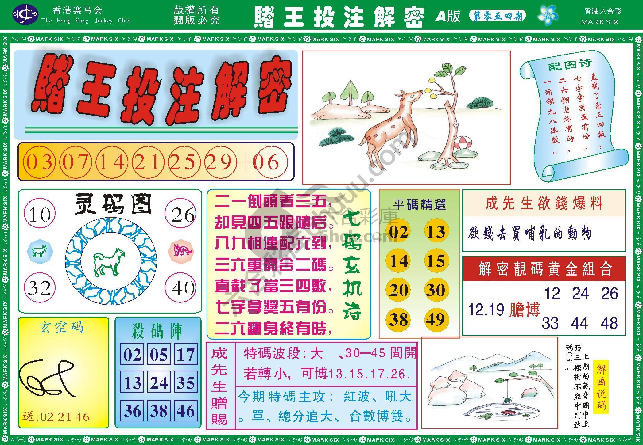 赌王投注解密