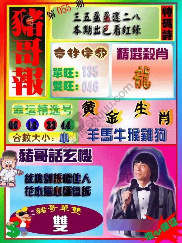 猪哥报