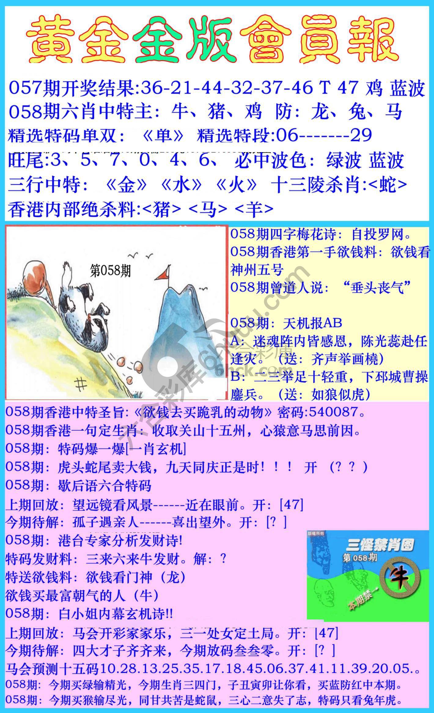 黄金金版会员报