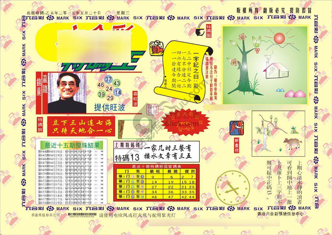 特码王