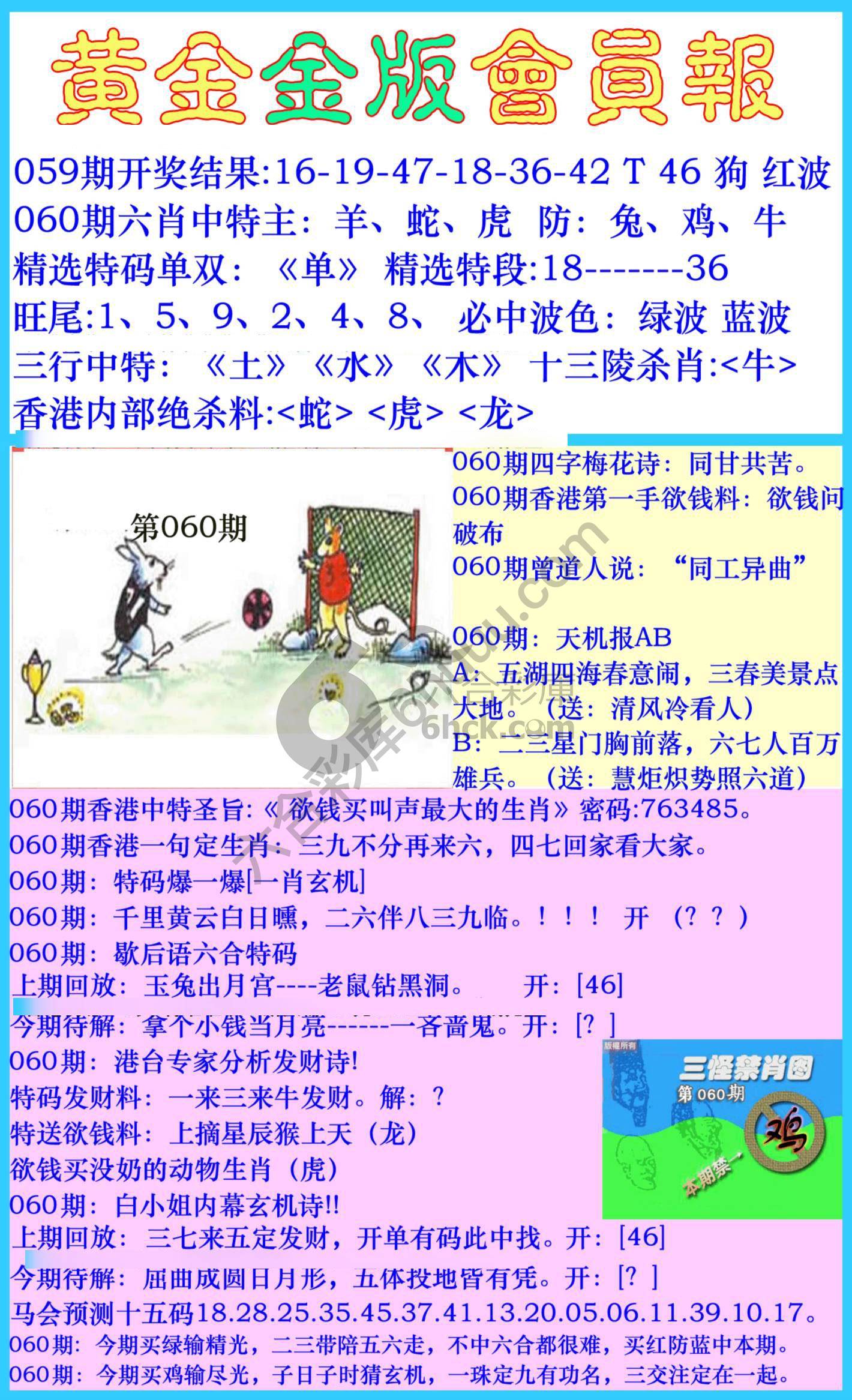 黄金金版会员报