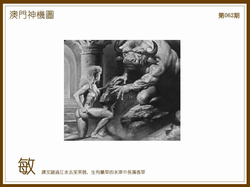 澳门神机图