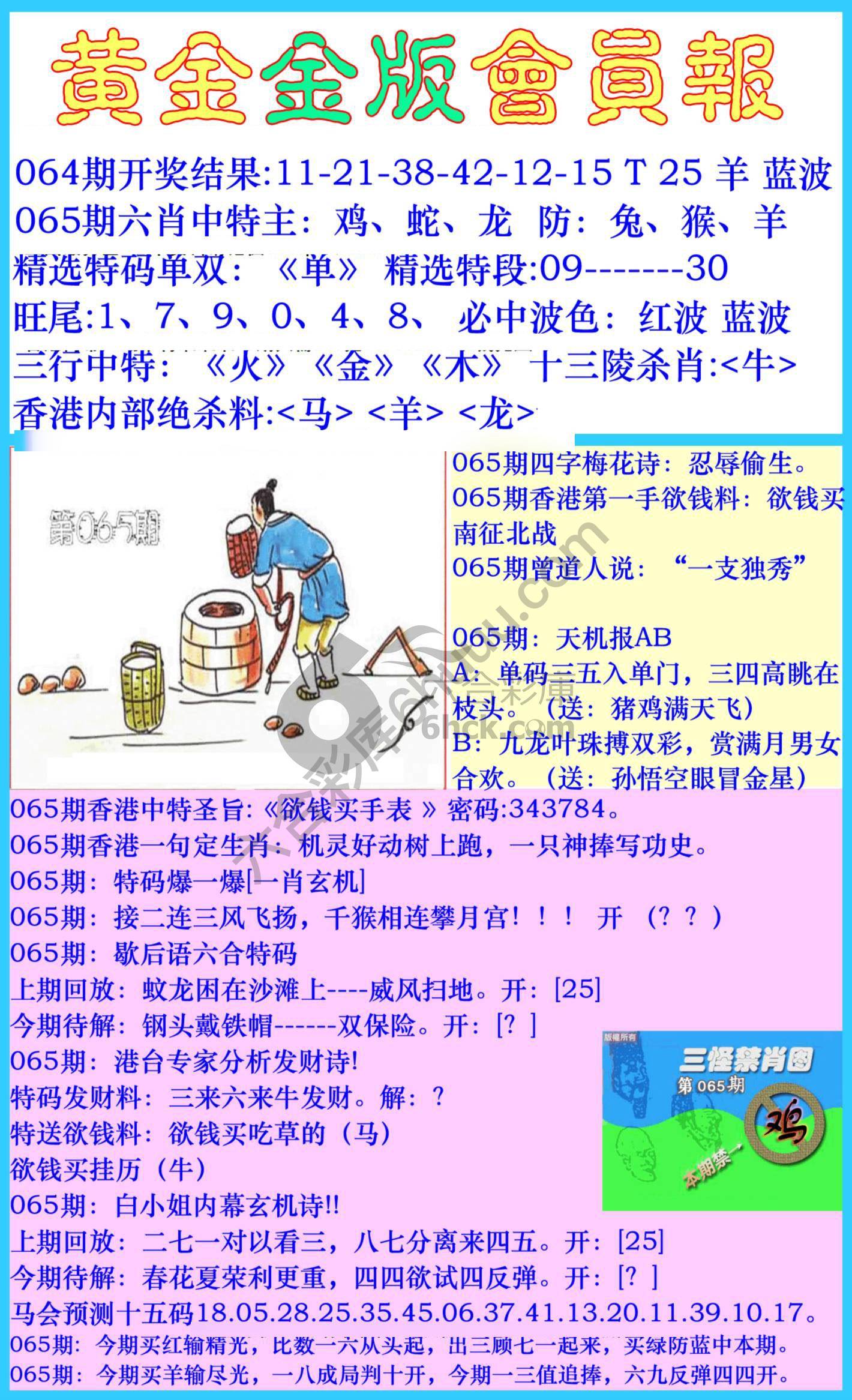 黄金金版会员报