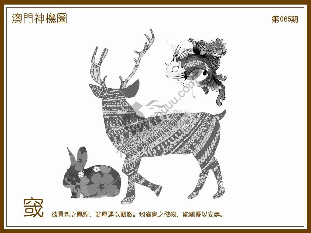澳门神机图