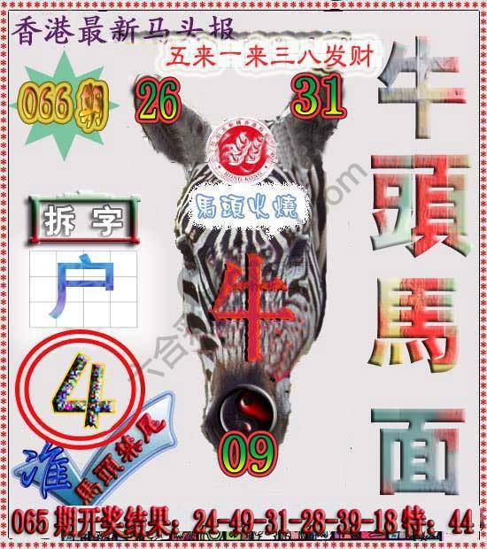 香港马头报