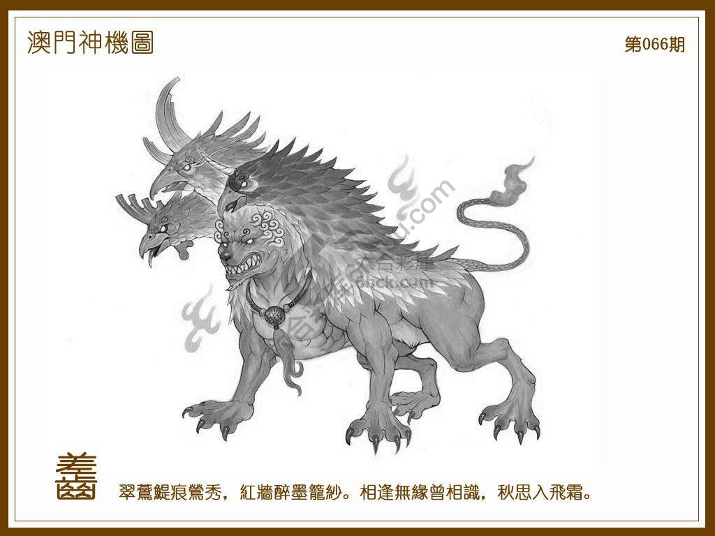 澳门神机图