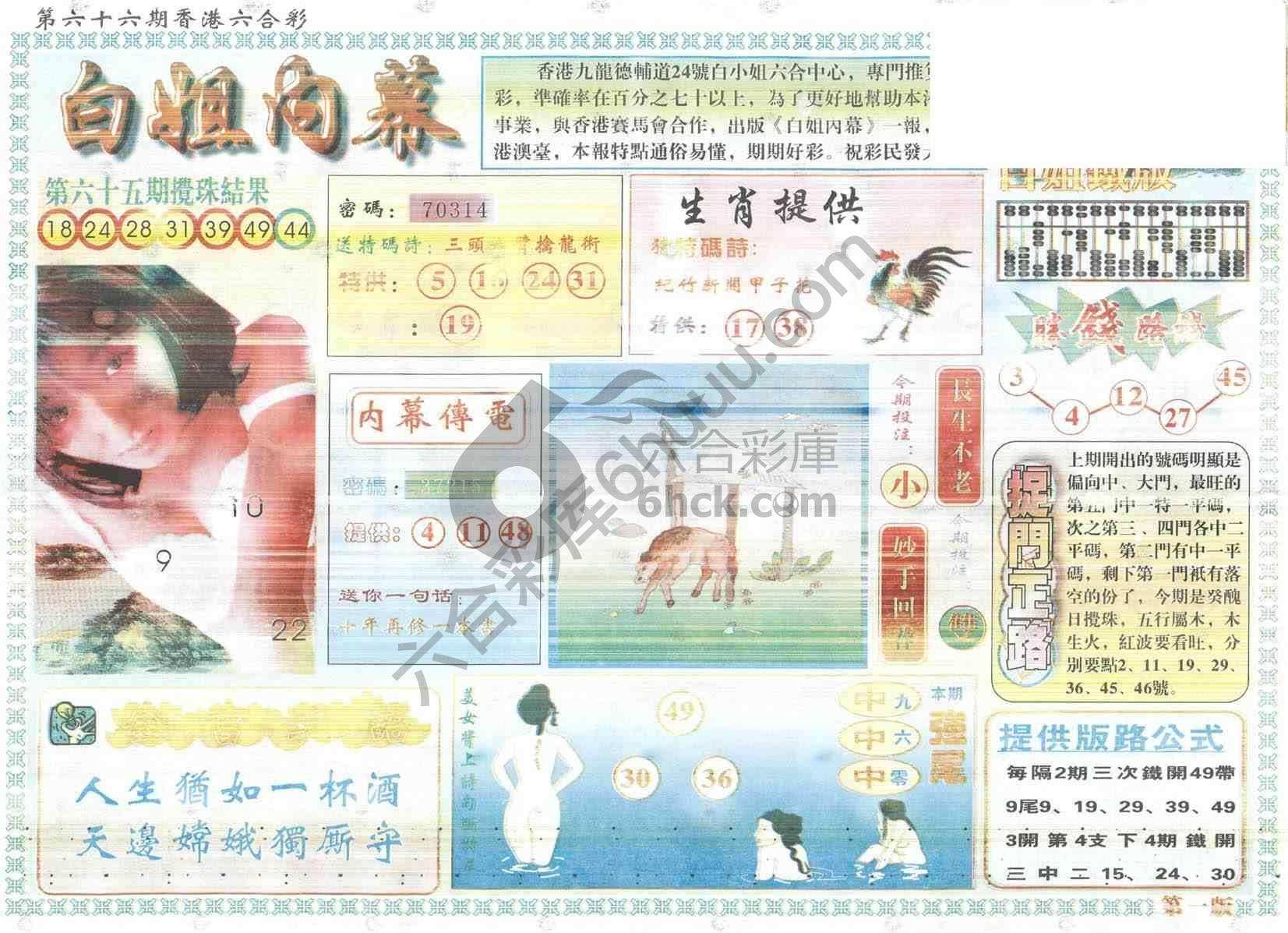 白姐内幕